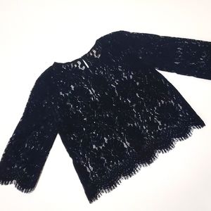 Zara Basic Collection Velvet Suede Lace Top